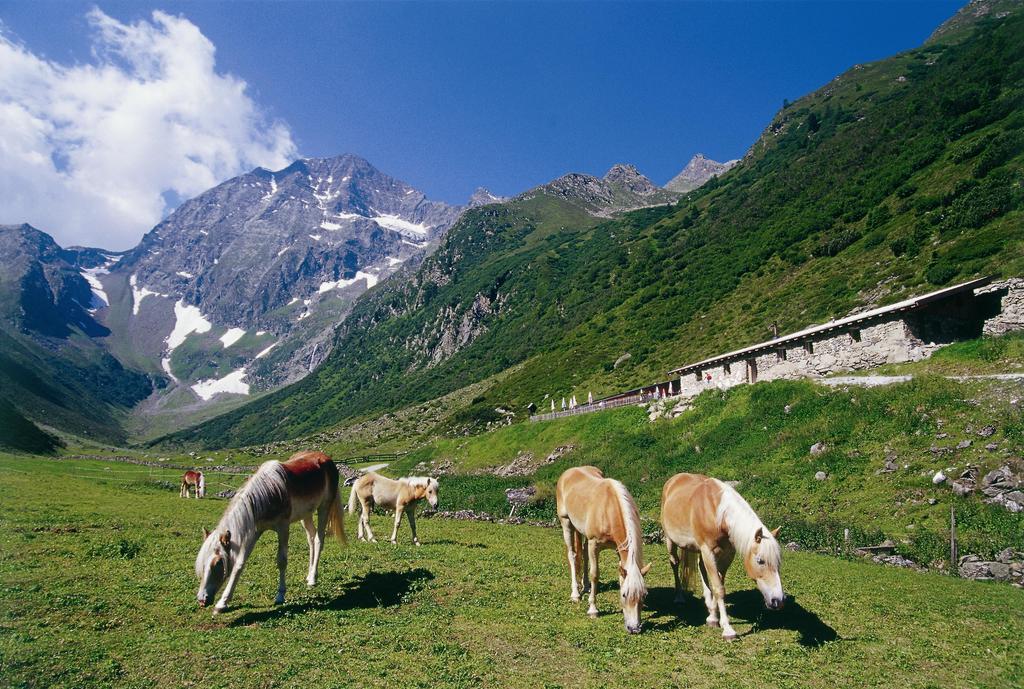 Apartment Hildegard Neustift im Stubaital Exteriör bild