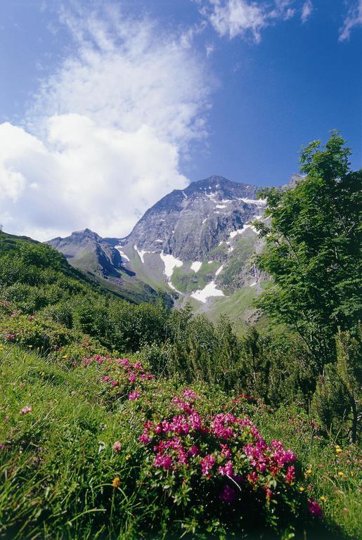 Apartment Hildegard Neustift im Stubaital Rum bild